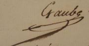 gaube